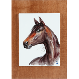 Wandbild, Mein Haustier, Motiv Pferdekopf, 30 x 21 cm