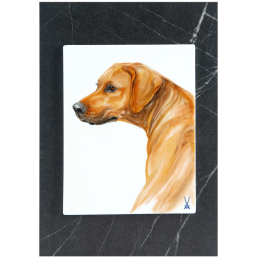 Wandbild, Mein Haustier, Motiv Hundekopf, 30 x 21 cm