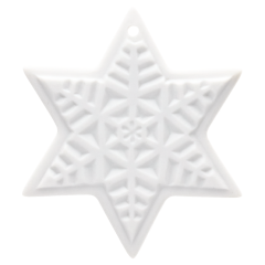 Baumschmuck Weihnachtsstern, Weiß, bisquit, H 4,3 cm