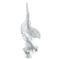 Ara, H 110 cm
