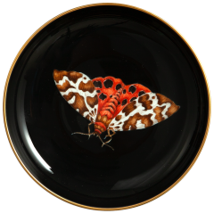 Schälchen mit Hänger, Brauner Bär auf schwarzem Hintergrund, Ø 13 cm