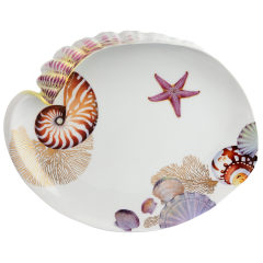 Muschelschale Nautilus, Lim. 25, L 32 cm