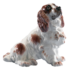 Hund Cockerspaniel, sitzend, Bunt staffiert
