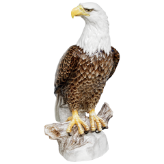 Weißkopfseeadler, H 78 cm
