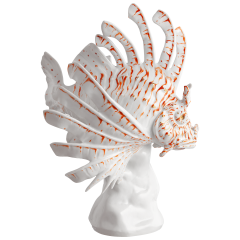 Fisch Feuerfisch, H 28 cm