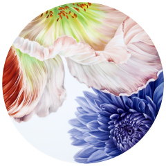 Wandbild II, Giant Bloom, Lim. 15, Ø 40 cm