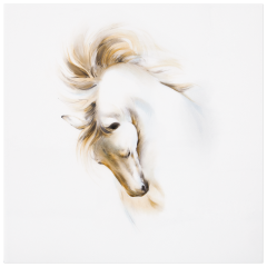 Wandbild, 30 x 30 cm