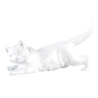 Katze, Weiß