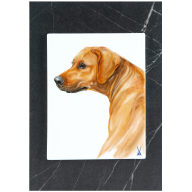 Wandbild, Mein Haustier, Motiv Hundekopf, 30 x 21 cm