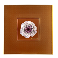 Wandbild Purpur Rosenblüte, Unikat Horst Bretschneider, 23 x 23 cm